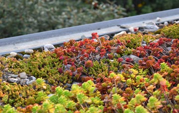 the cost of Rustington green roof installation