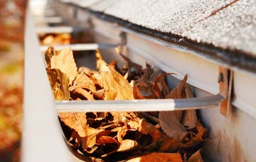 Rustington gutter cleaning companies