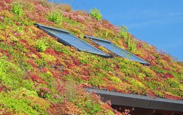 Rustington living roof systems